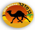 קראו עוד על בן במדבר - טיולי גמלים