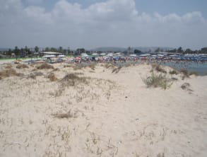 חוף%20דור%20נחשולים%20,%20חוף%20דור