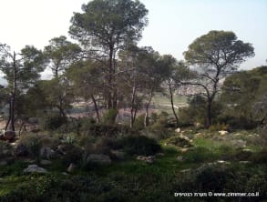 מערת%20הנטיפים%20,%20מערת%20הנטיפים