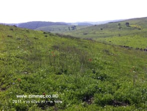 צעדת%20יקנעם%20,%20יקנעם