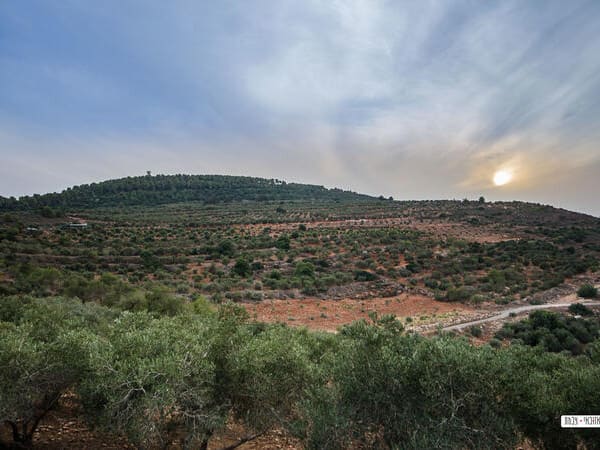 תמונות נוף