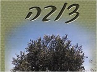 לדף הבית של שמן זית צובה