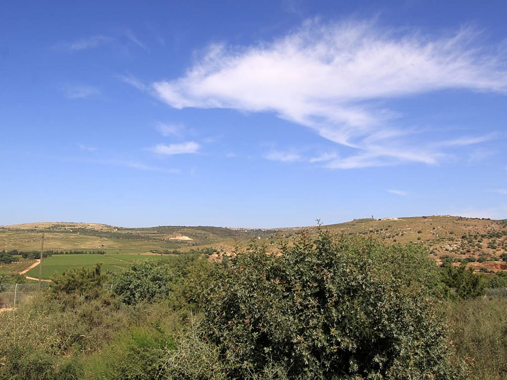 נוף