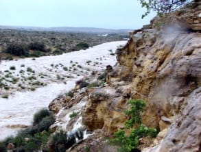 צימרבוס%20,%20עזוז