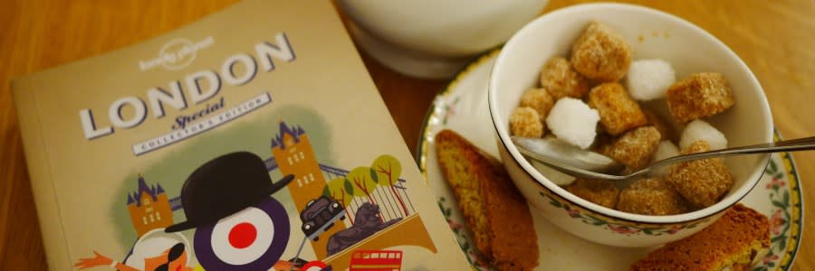 Traveler's Guide to London