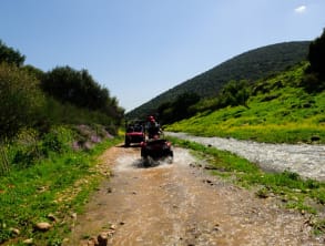 טרקטורוני%20דישון%20,%20דישון