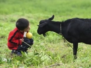 Kibbutz Lodging Forum - Upper Galilee