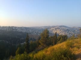 Jerusalem's Pilgrim Road:A 3,000 Years of History's page