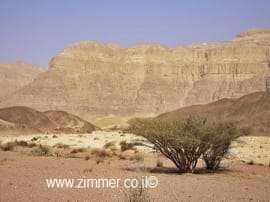 Avdat National Park