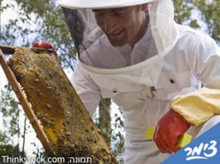 מכוורת דבש משק לין - אטרקציה בכפר ביל``ו