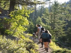 מה לעשות באמירים ובסביבה: מסלולי הליכה, טבע ונופש גלילי