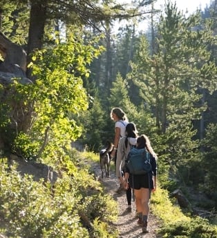 מה לעשות באמירים ובסביבה: מסלולי הליכה, טבע ונופש גלילי