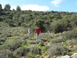 לדף הבית של קל-דעת טיולי סגווי בשטח